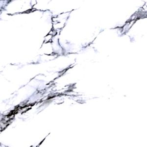 Meet your Posher, Carlea